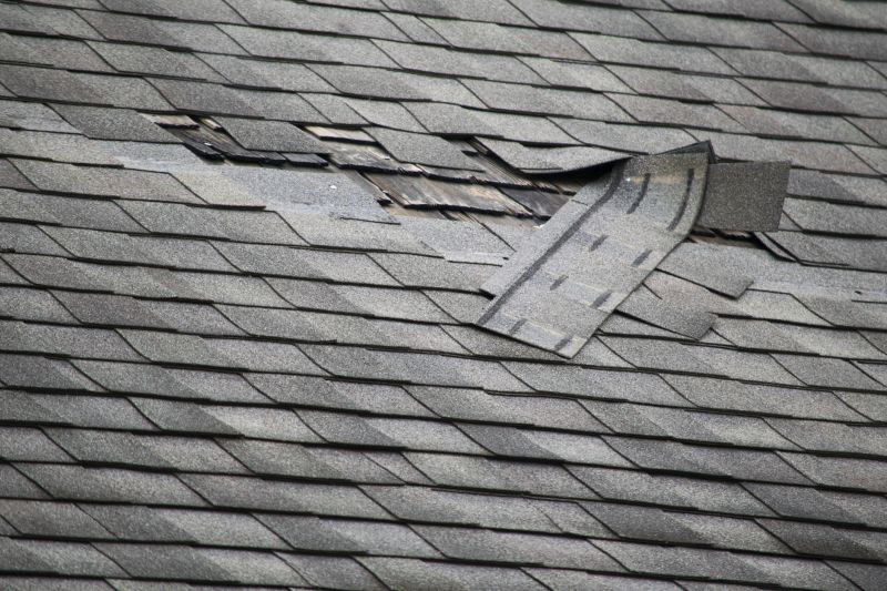 Repaired Roof with New Shingles